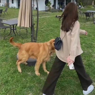 艾蜜莉·布莱尔的秘密